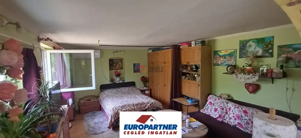 Pest megye - Dánszentmiklós