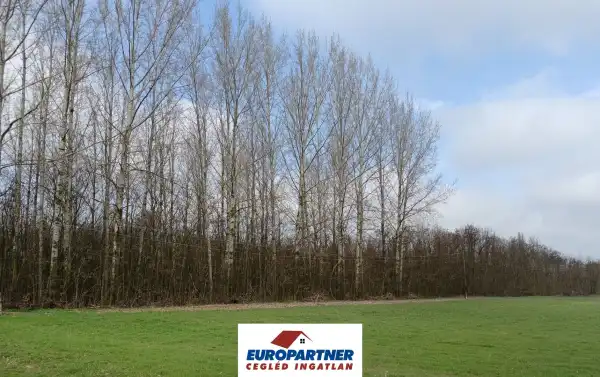 Eladó Erdő, Csemő 12000 m² 0.01 M Ft