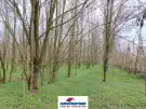 Pest megye - Csemő