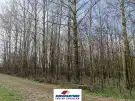 Pest megye - Csemő