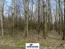 Pest megye - Csemő