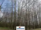 Pest megye - Csemő