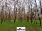 Pest megye - Csemő