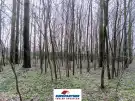 Pest megye - Csemő