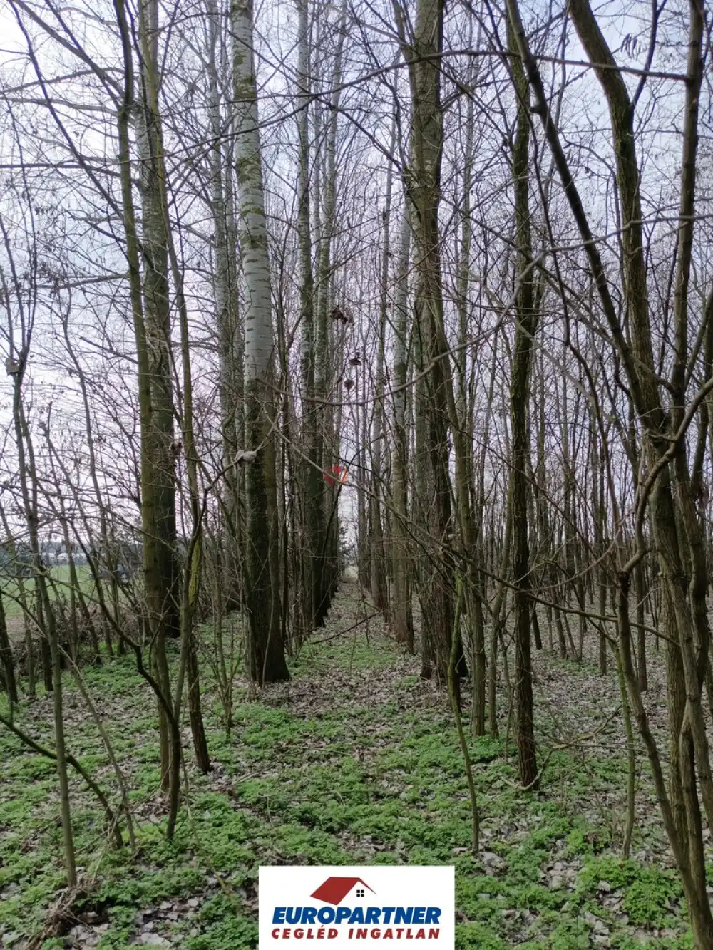 Pest megye - Csemő